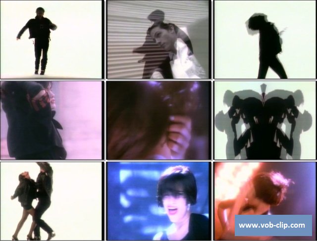 extended version » Popular Music Video Clips (VOB format DVD)